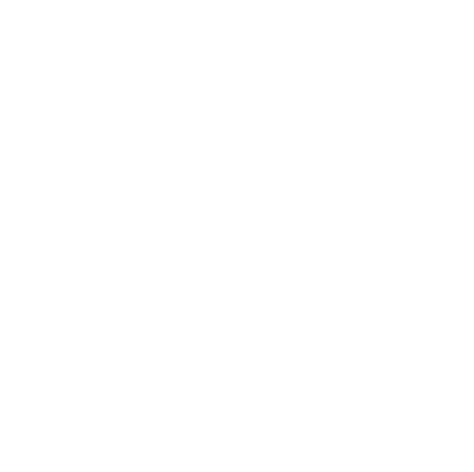 icon-prestations-04